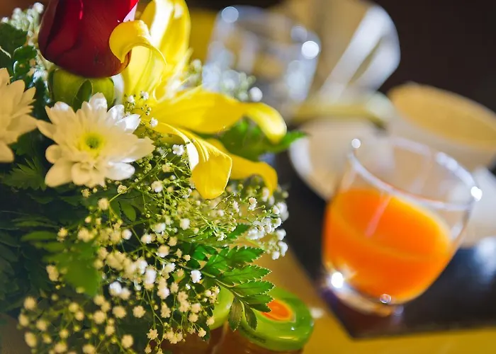 麦尔夸特酒店 酒店 夏卡